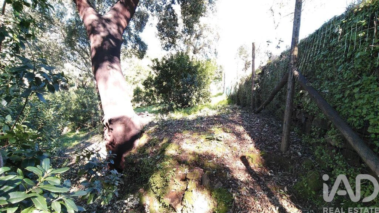 Terreno para Venda em Pedrogão Pequeno Foto 13