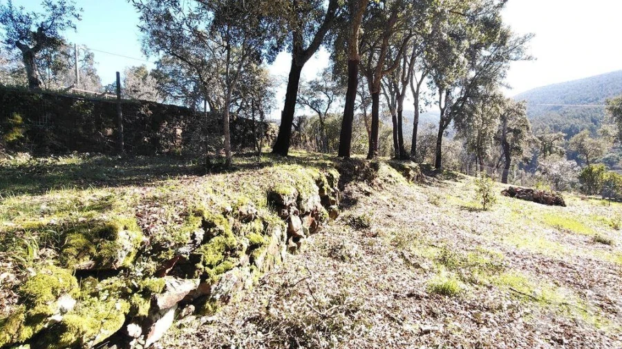 Terreno para Venda em Pedrogão Pequeno