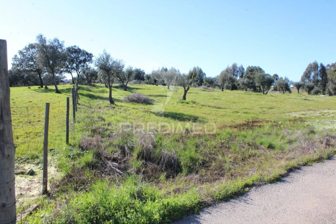 Terreno para Venda em Redondo Foto 17