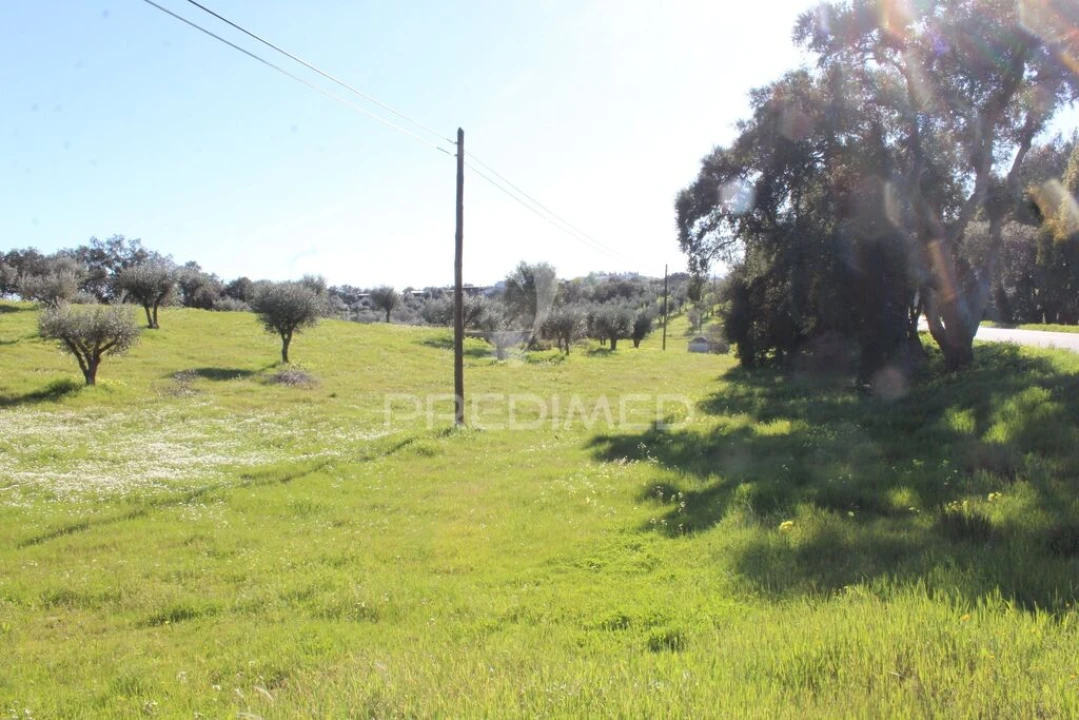 Terreno para Venda em Redondo Foto 8