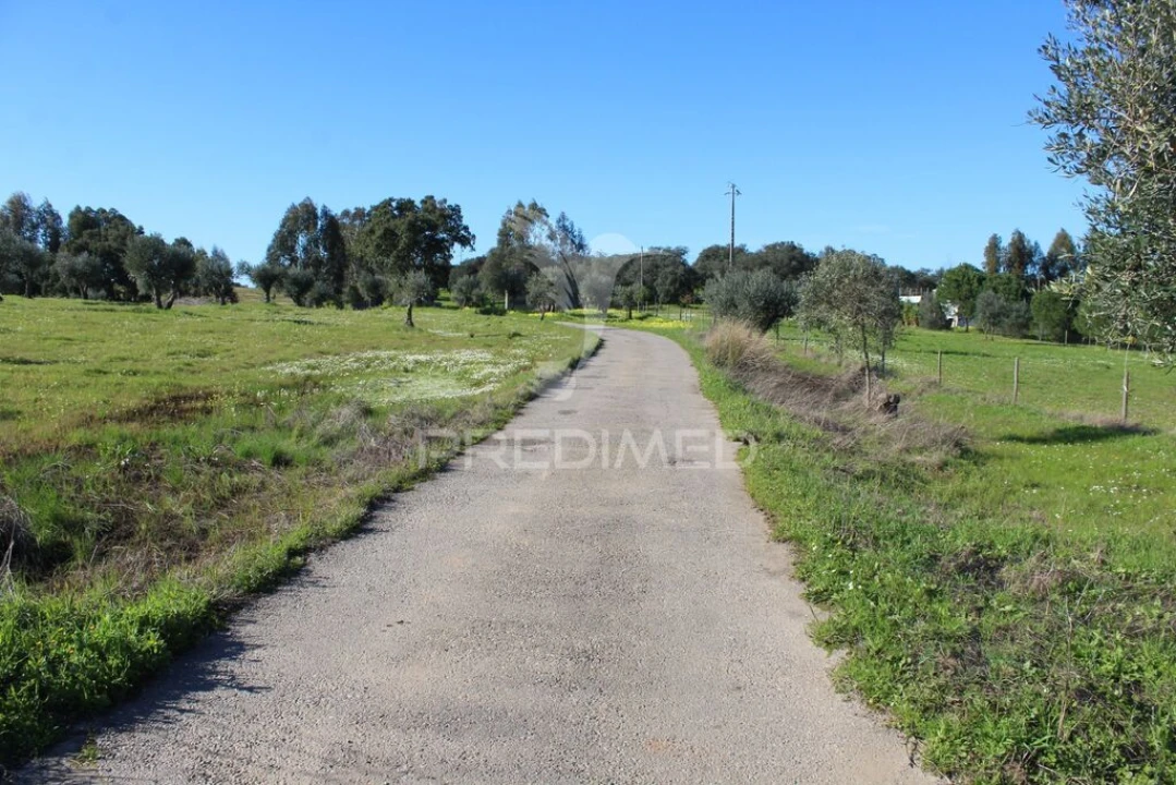 Terreno para Venda em Redondo Foto 13