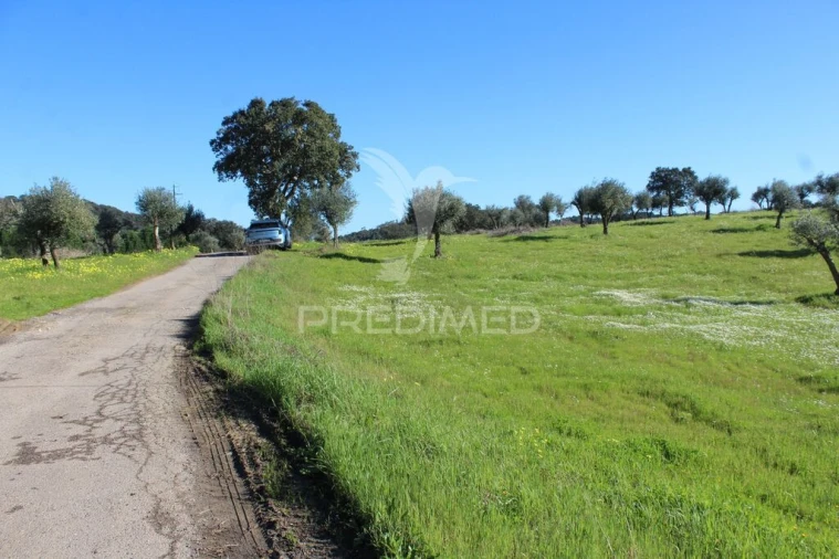 Terreno para Venda em Redondo Foto 11