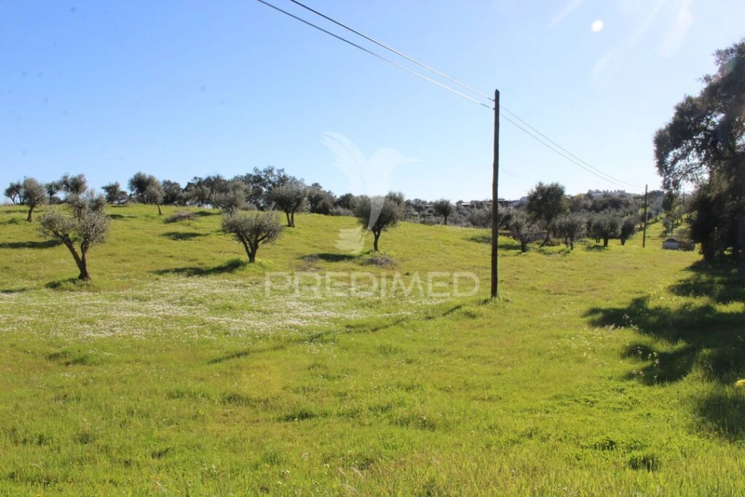 Terreno para Venda em Redondo Foto 9
