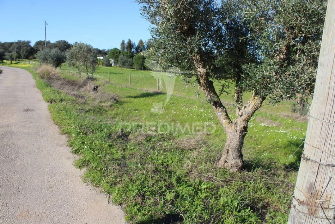 Terreno para Venda em Redondo Foto 16