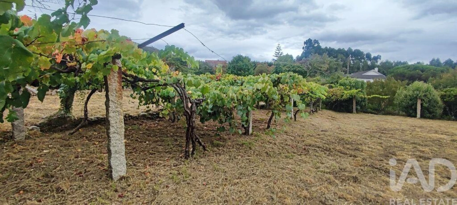 Terreno para Venda em Loivo Foto 12