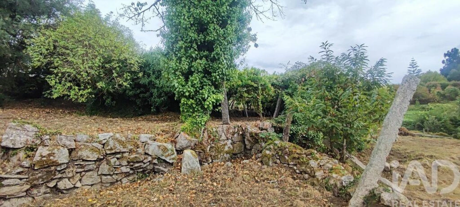 Terreno para Venda em Loivo Foto 13