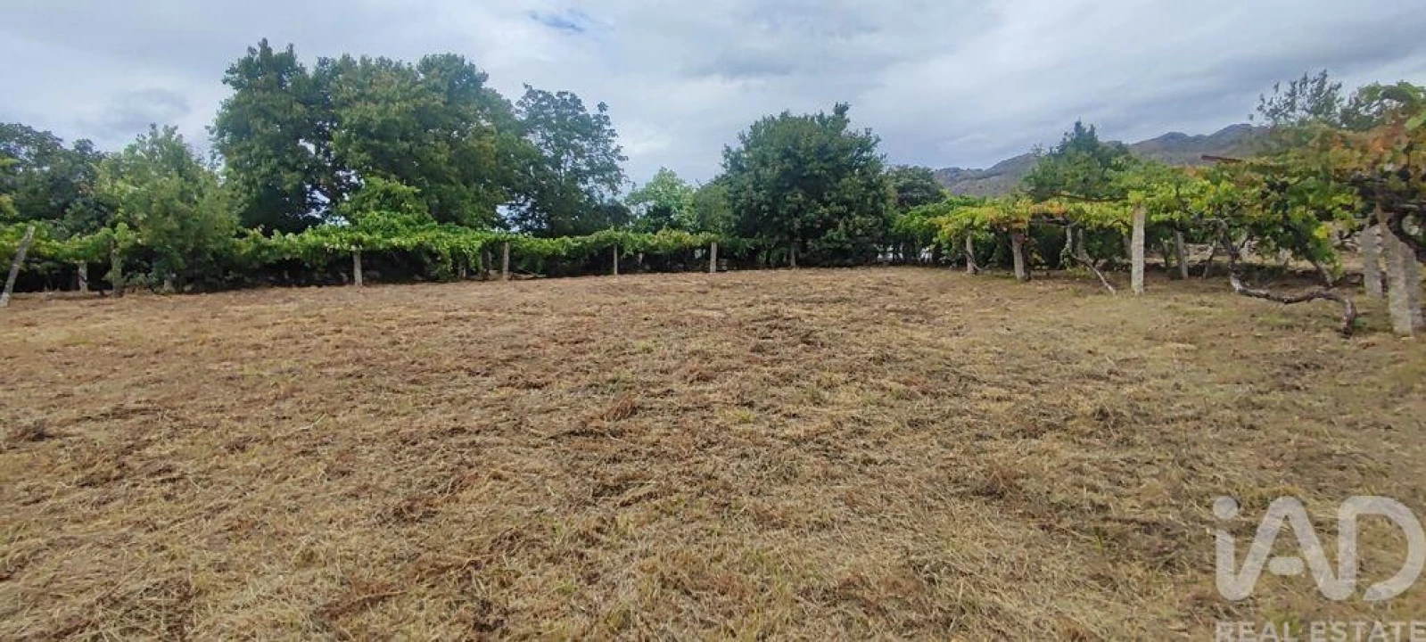 Terreno para Venda em Loivo Foto 27