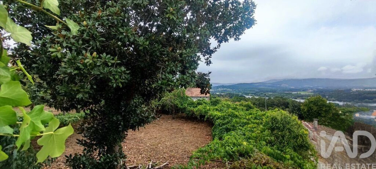 Terreno para Venda em Loivo Foto 3