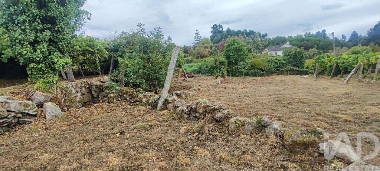 Terreno para Venda em Loivo Foto 16