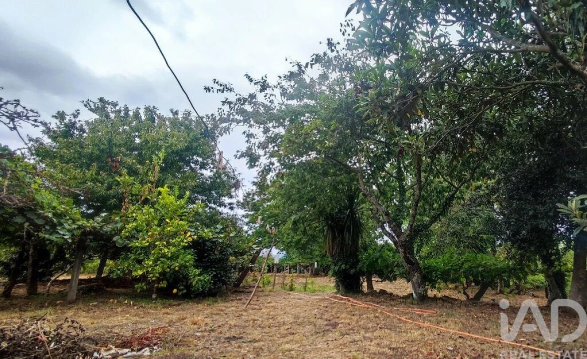 Terreno para Venda em Loivo Foto 6