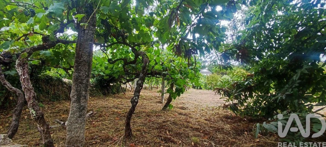 Terreno para Venda em Loivo Foto 21