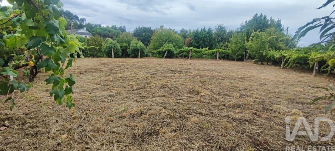 Terreno para Venda em Loivo Foto 24