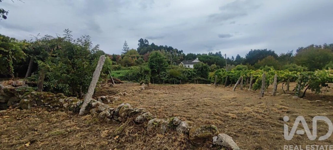 Terreno para Venda em Loivo Foto 17