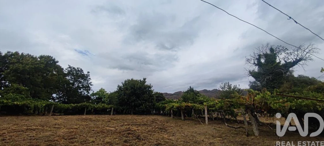 Terreno para Venda em Loivo Foto 9