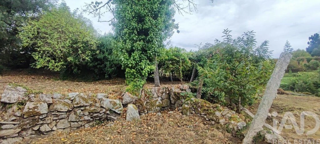 Terreno para Venda em Loivo Foto 13