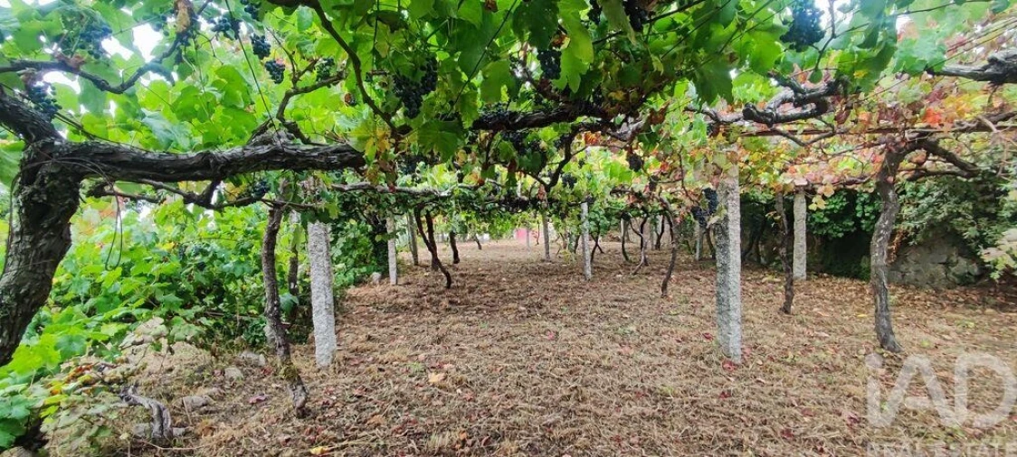 Terreno para Venda em Loivo Foto 26