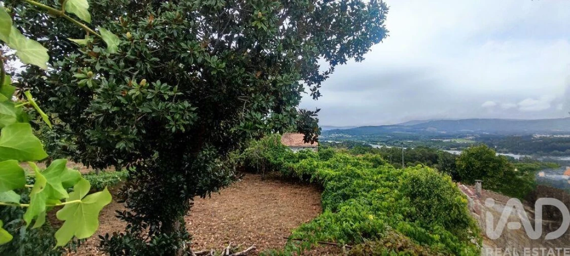 Terreno para Venda em Loivo Foto 3