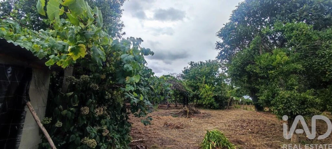 Terreno para Venda em Loivo Foto 2