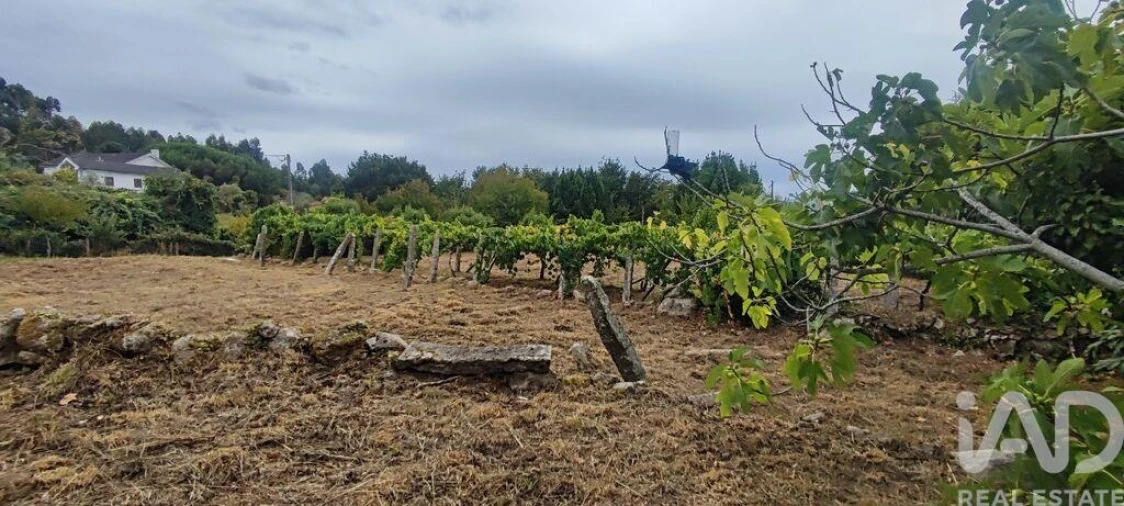 Terreno para Venda em Loivo Foto 15