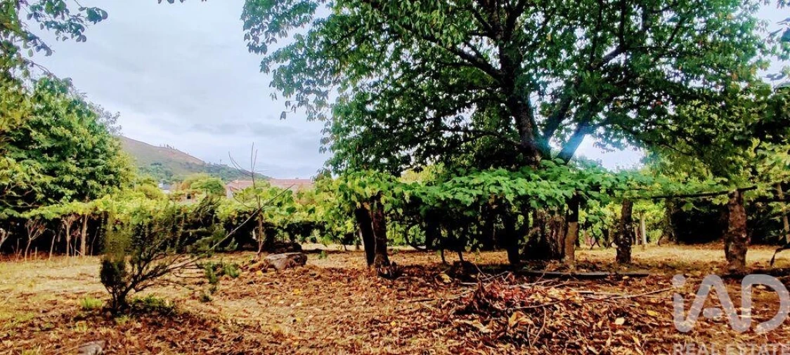 Terreno para Venda em Loivo Foto 4