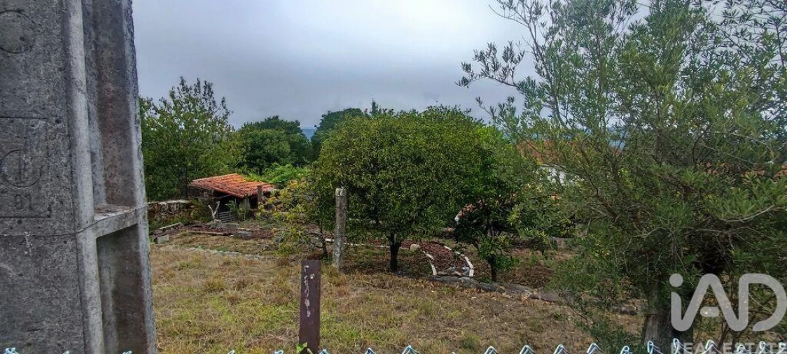 Terreno para Venda em Loivo Foto 18