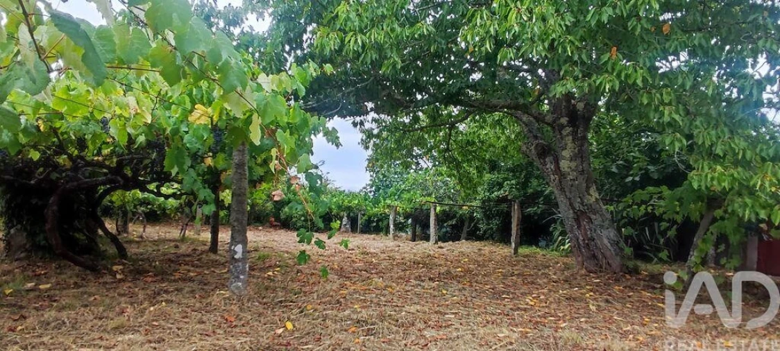 Terreno para Venda em Loivo Foto 28