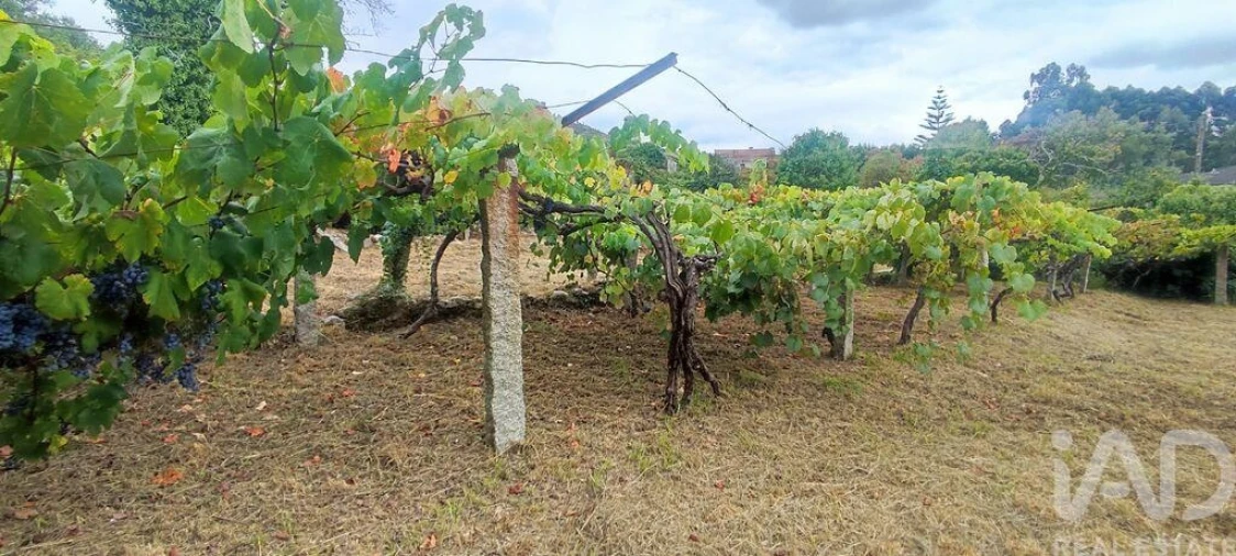 Terreno para Venda em Loivo Foto 22