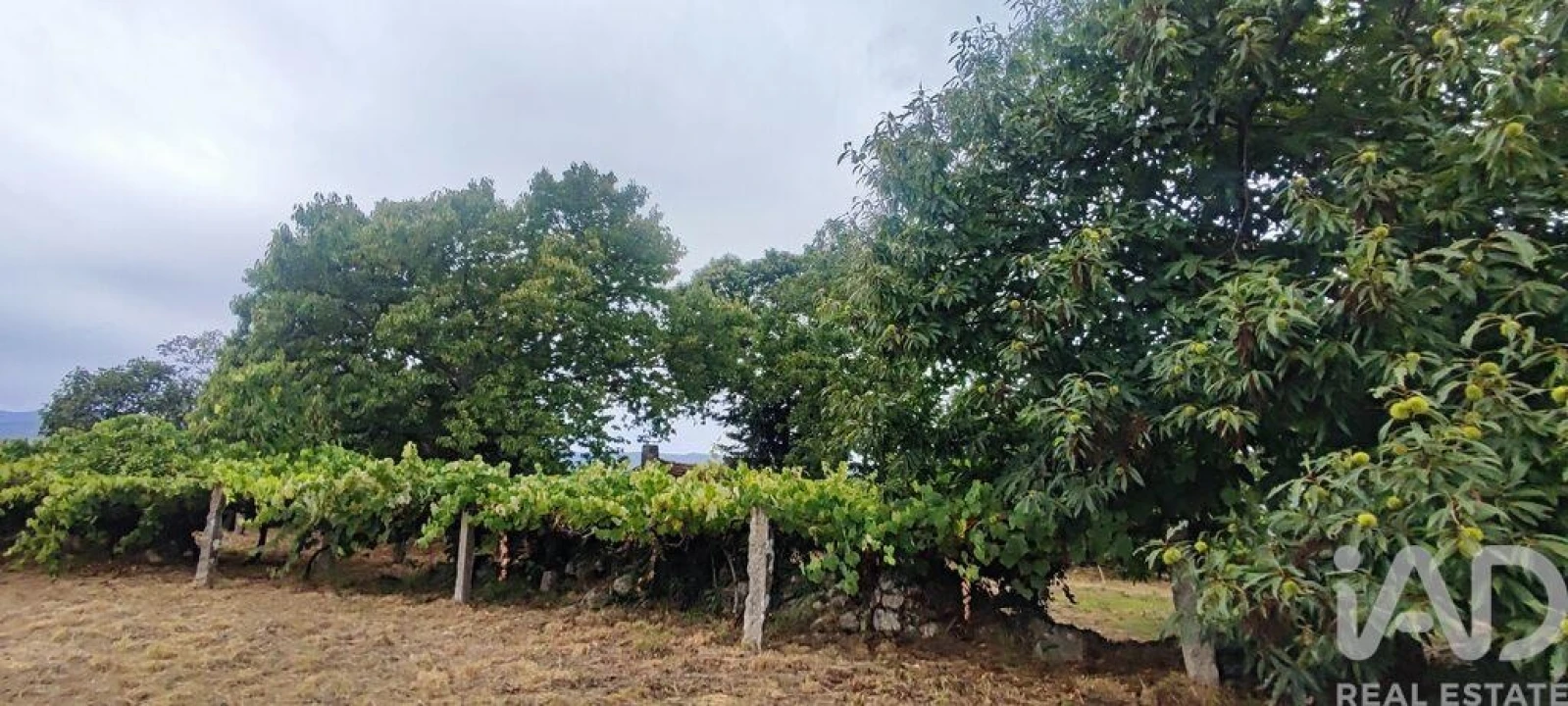 Terreno para Venda em Loivo Foto 23