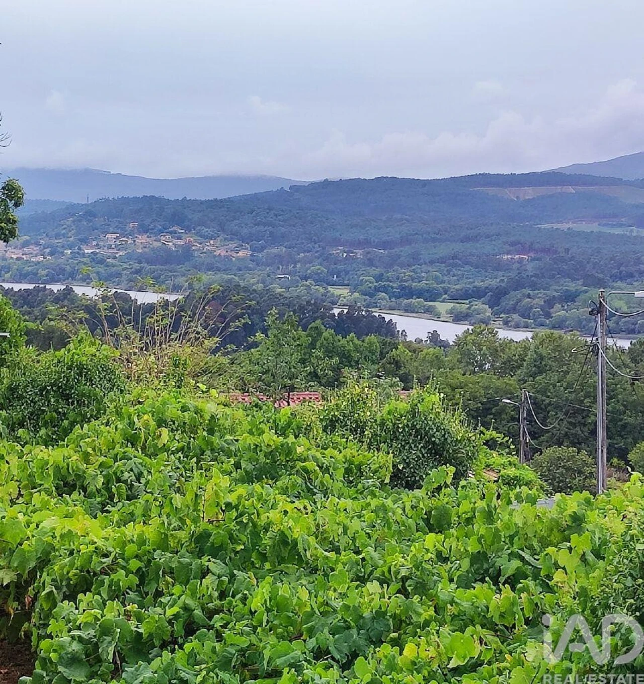Terreno para Venda em Loivo Foto 7