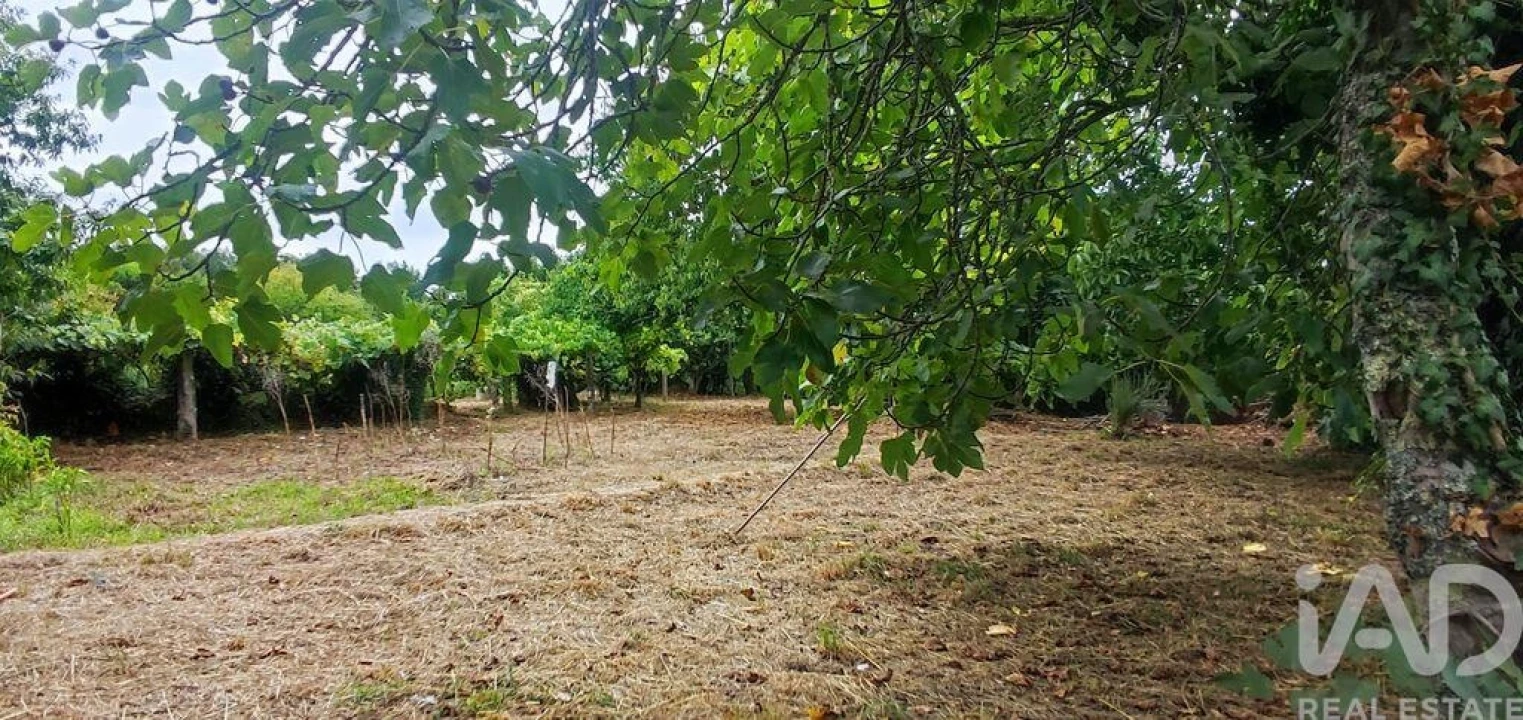 Terreno para Venda em Loivo Foto 5