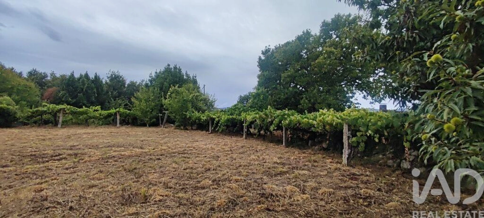 Terreno para Venda em Loivo Foto 19