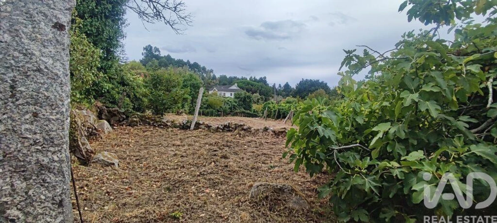 Terreno para Venda em Loivo Foto 25