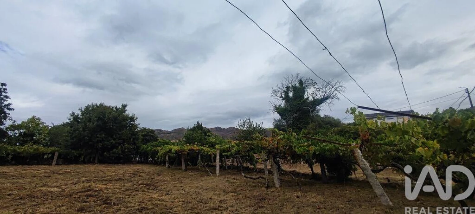 Terreno para Venda em Loivo Foto 10