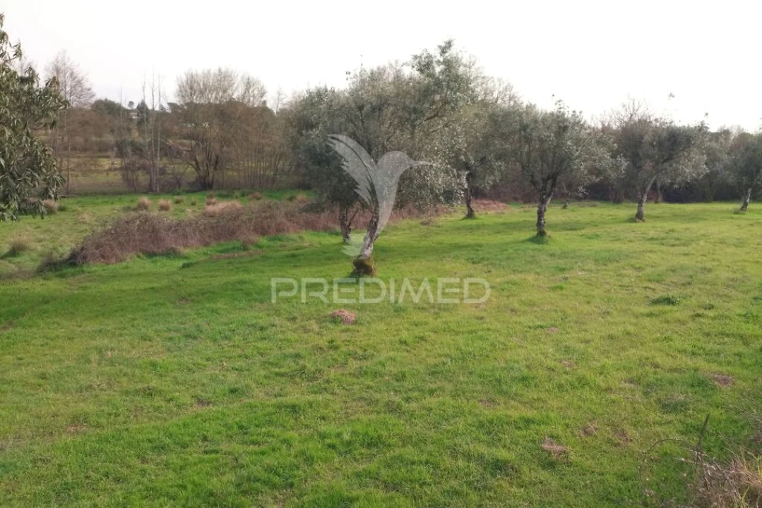 Terreno para Venda em Espinho Foto 19