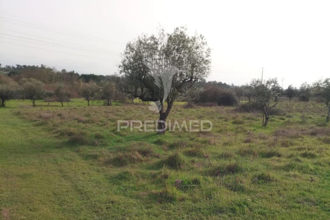 Terreno para Venda em Espinho Foto 7
