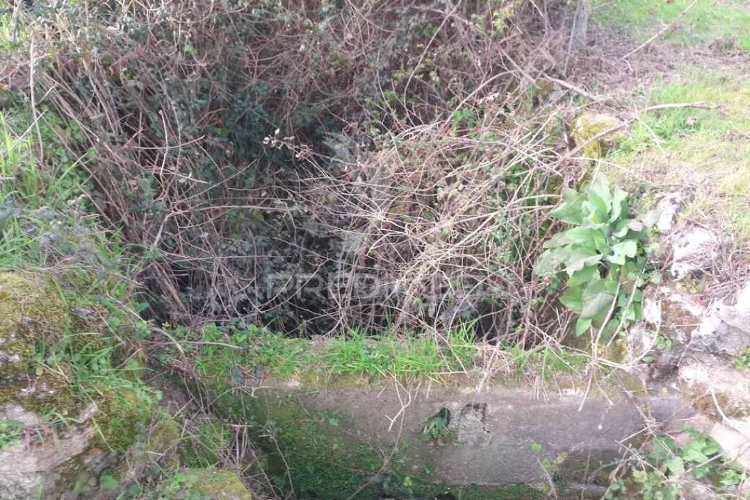 Terreno para Venda em Espinho Foto 14