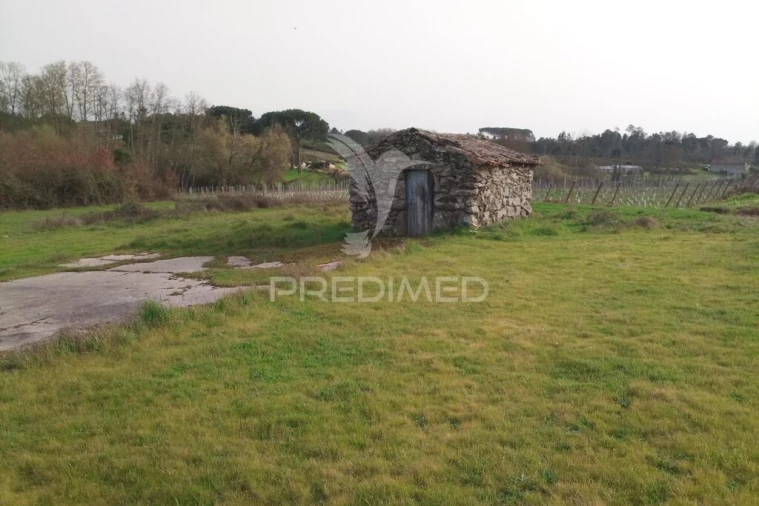 Terreno para Venda em Espinho Foto 15