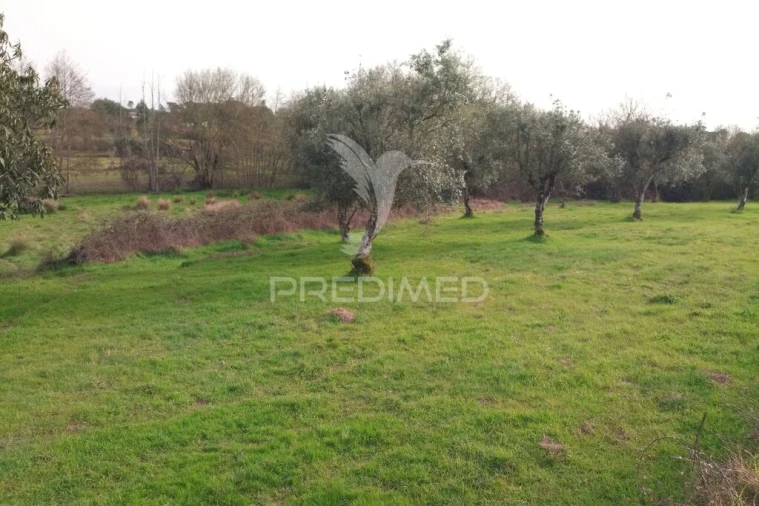 Terreno para Venda em Espinho Foto 19