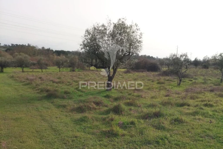 Terreno para Venda em Espinho Foto 7
