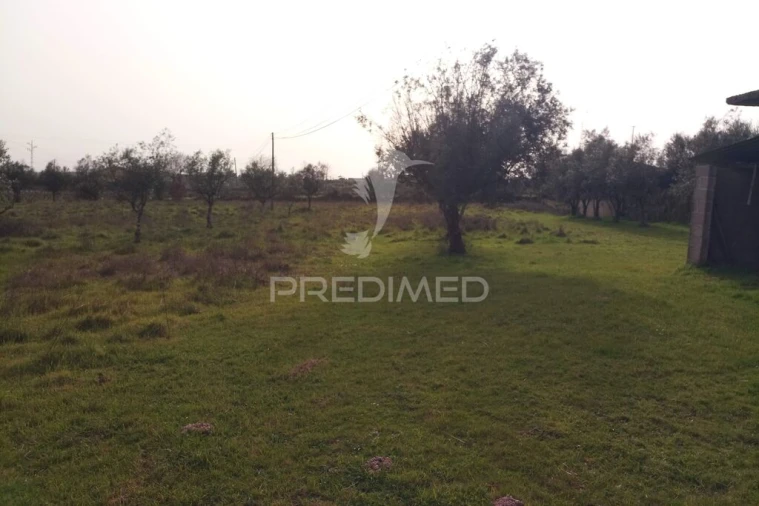 Terreno para Venda em Espinho Foto 8