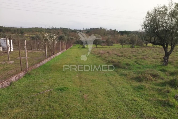 Terreno para Venda em Espinho Foto 6