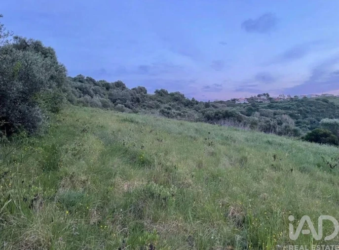 Terreno para Venda em Igreja Nova e Cheleiros Foto 6