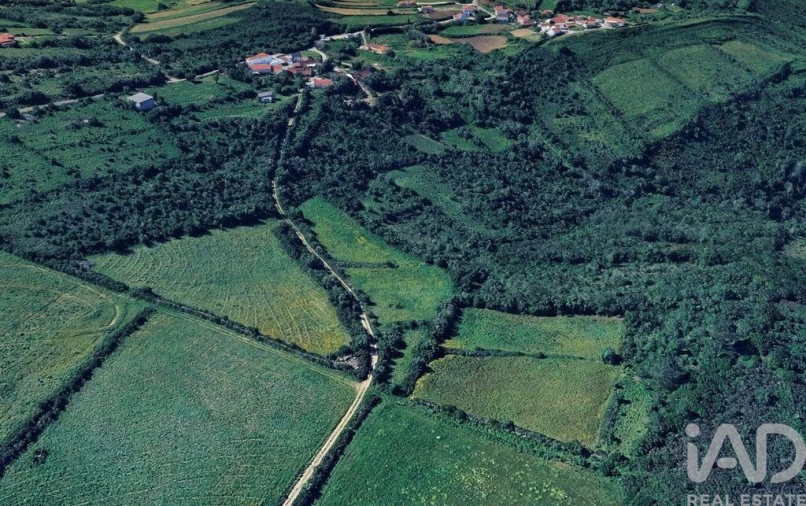 Terreno para Venda em Igreja Nova e Cheleiros Foto 4
