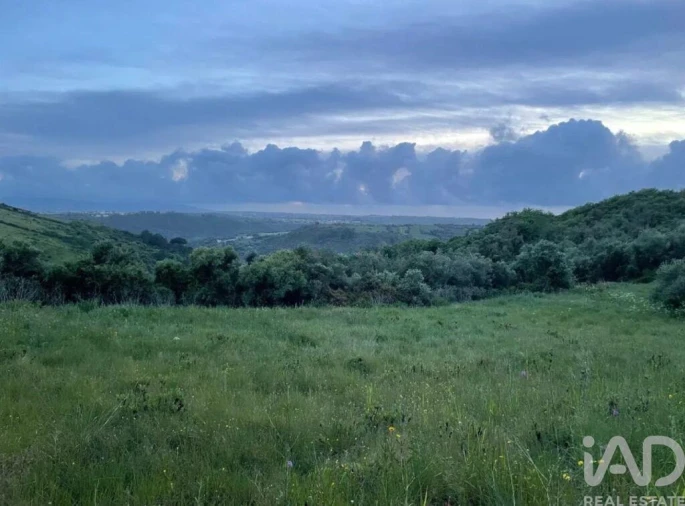 Terreno para Venda em Igreja Nova e Cheleiros Foto 8