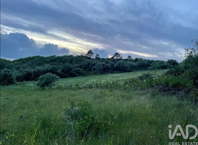 Terreno para Venda em Igreja Nova e Cheleiros Foto 7