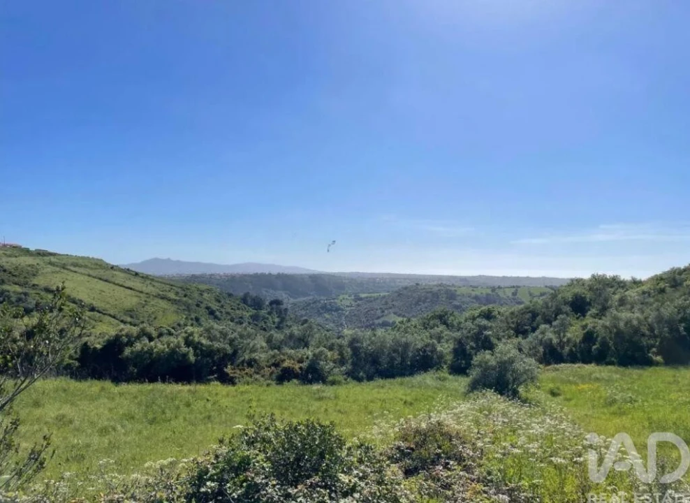 Terreno para Venda em Igreja Nova e Cheleiros Foto 5