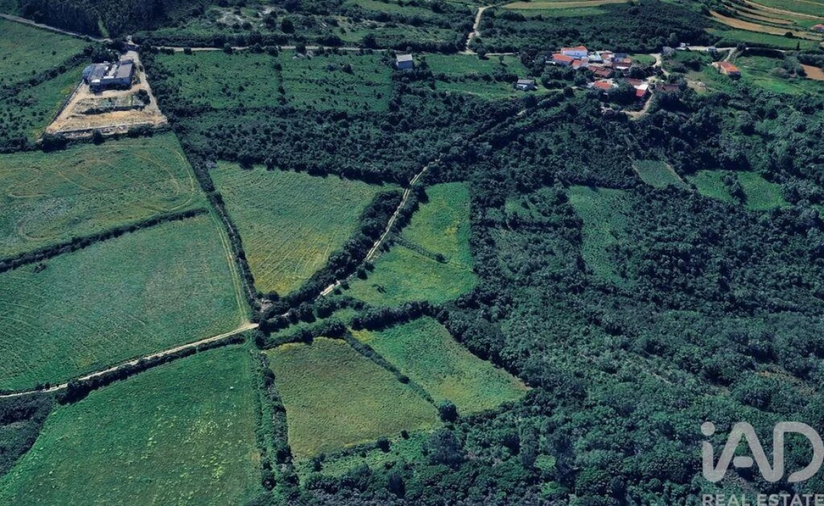 Terreno para Venda em Igreja Nova e Cheleiros Foto 2