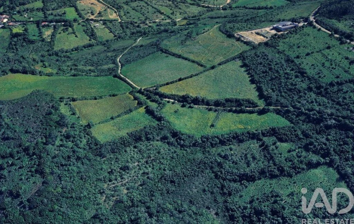 Terreno para Venda em Igreja Nova e Cheleiros Foto 3