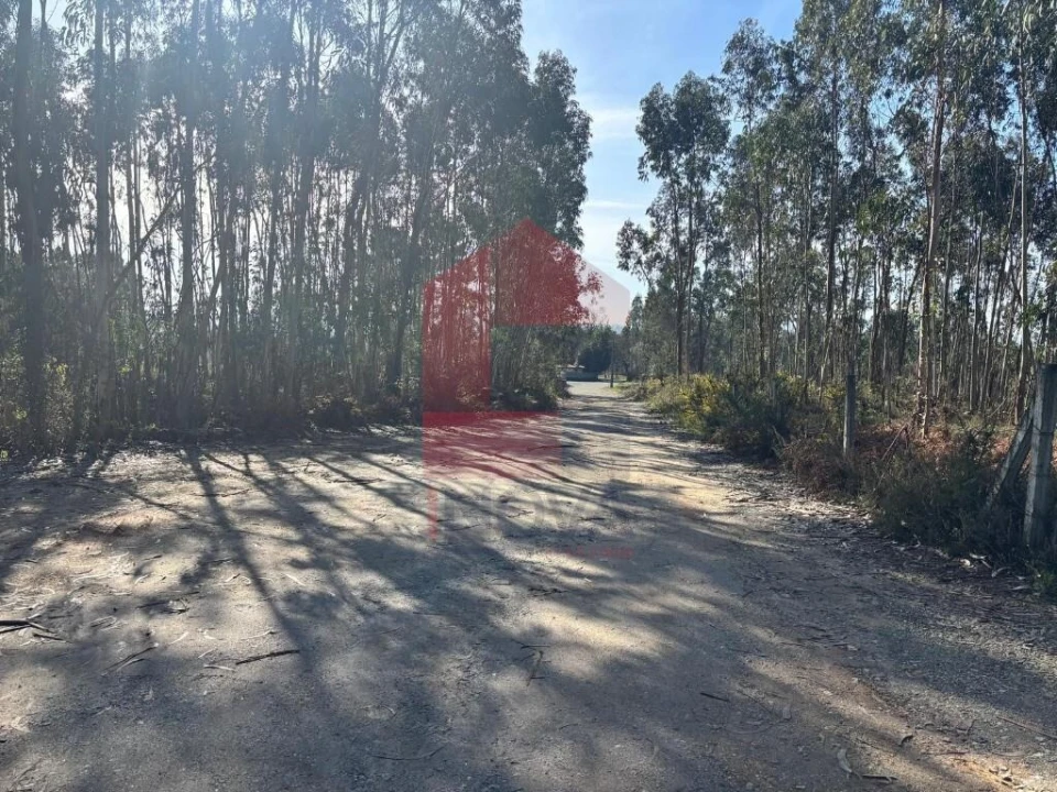 Terreno para Venda em Oleiros Foto 33