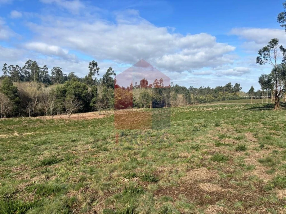 Terreno para Venda em Oleiros Foto 24